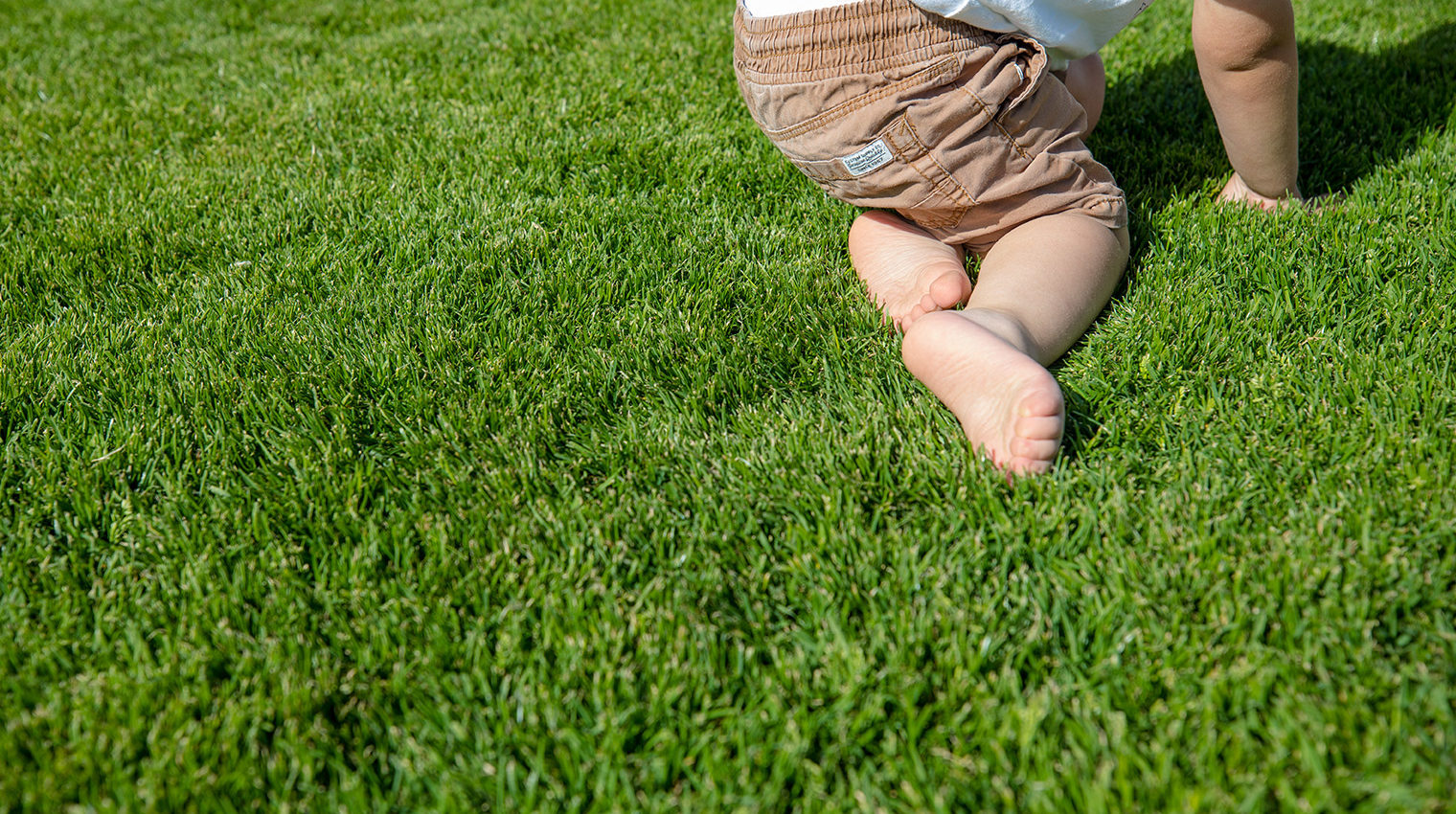 Rollrasen oder Rasensaat: Kind auf Rasen