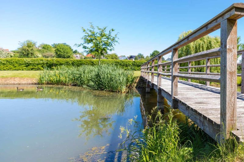 Naturnaher Gartenteich mit Brücke