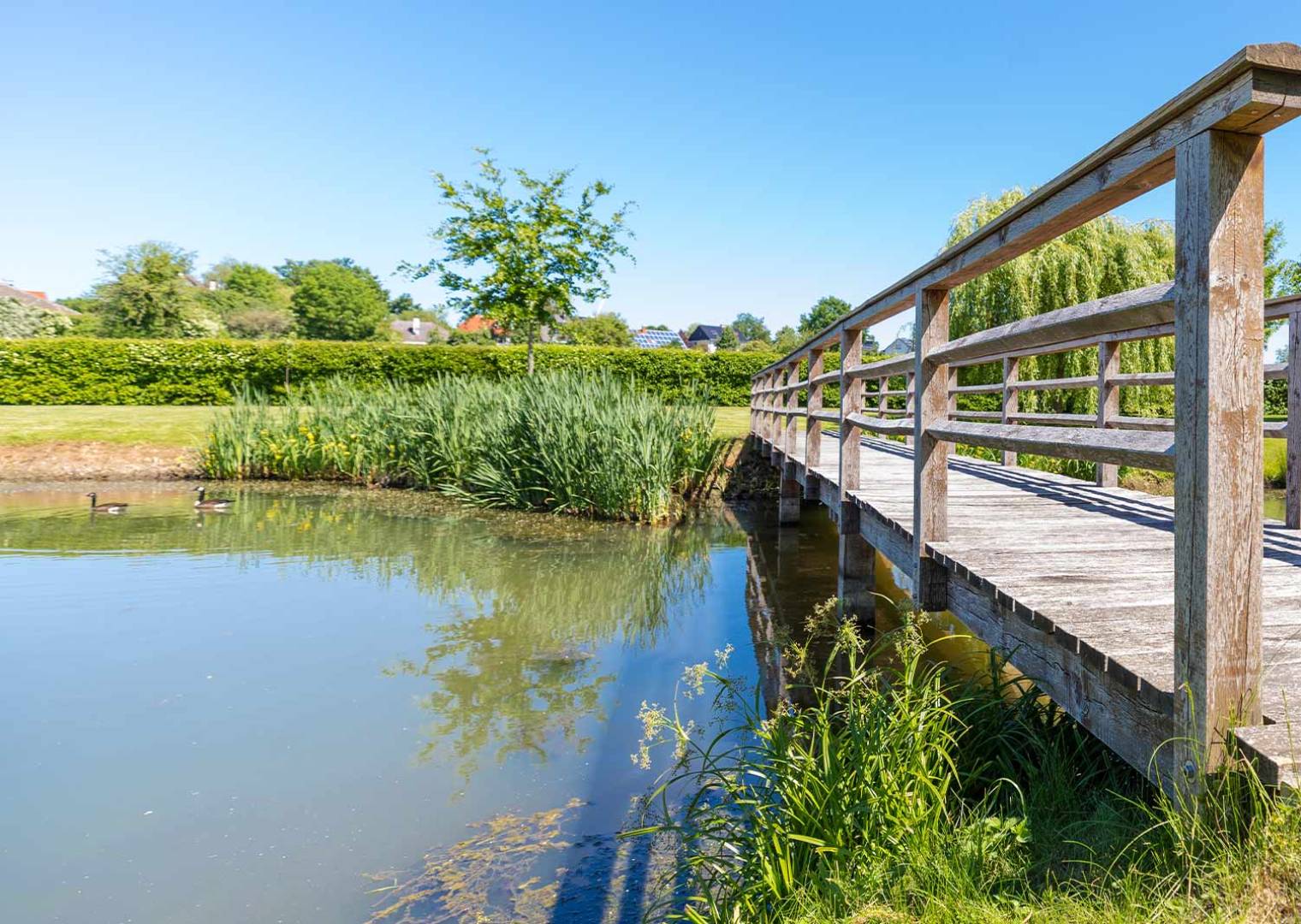 Naturnaher Gartenteich mit Brücke