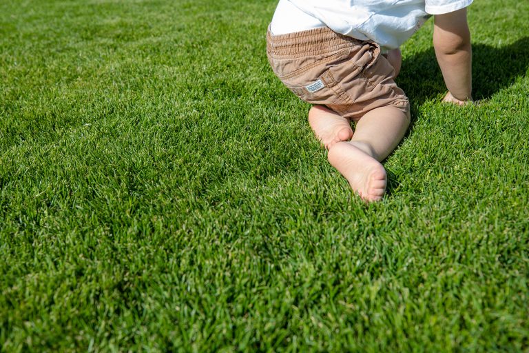 Galsbsu_Koetter_Rasenpflege_Bild1