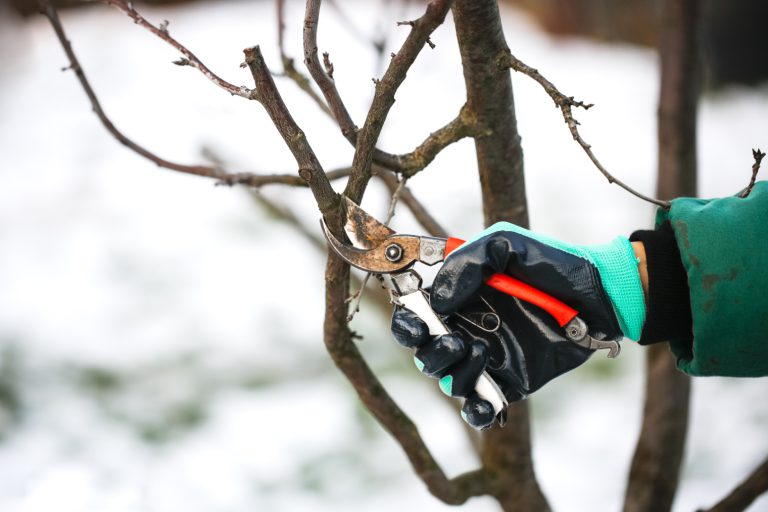 Koetter_Galabau_blog_winterfester_Garten