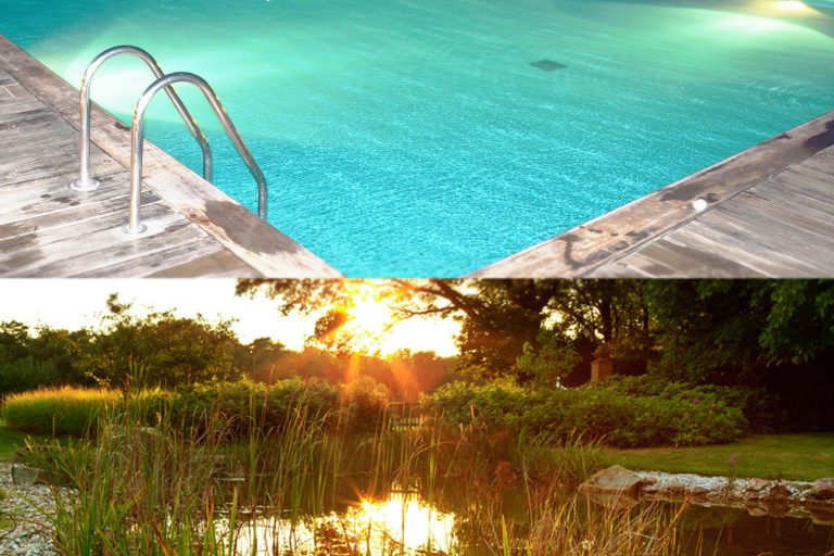 Swimmingpool_Schwimmteich-Koetter