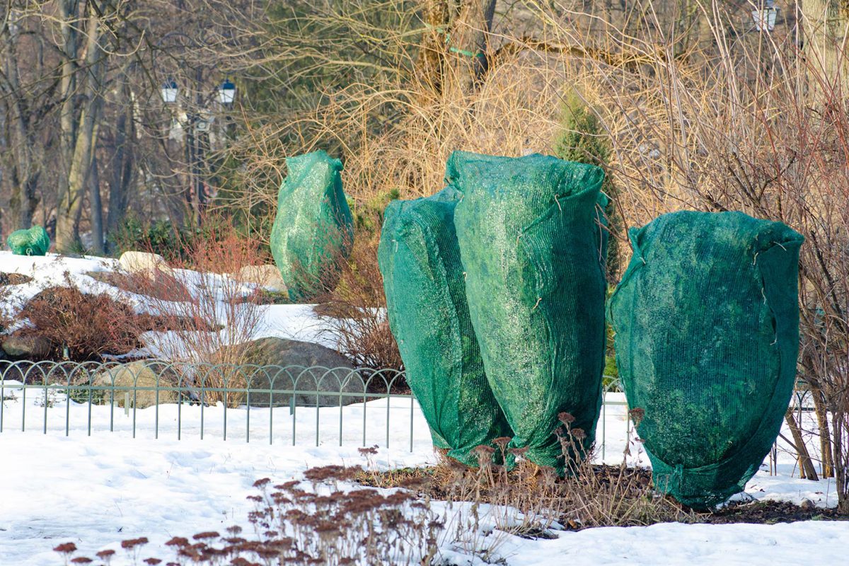 Symbolbild: Gartenarbeit im Winter