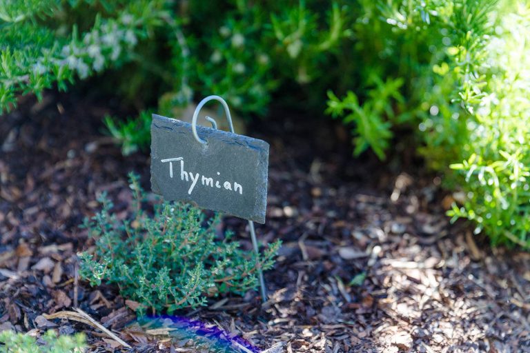 koetter_galabau_blog_gartentrends_2022