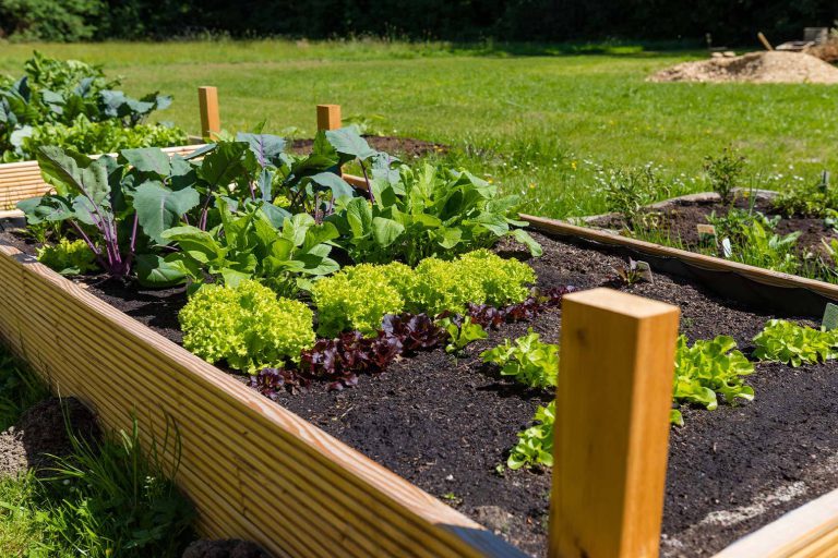 koetter_galabau_blog_hochbeet_planen