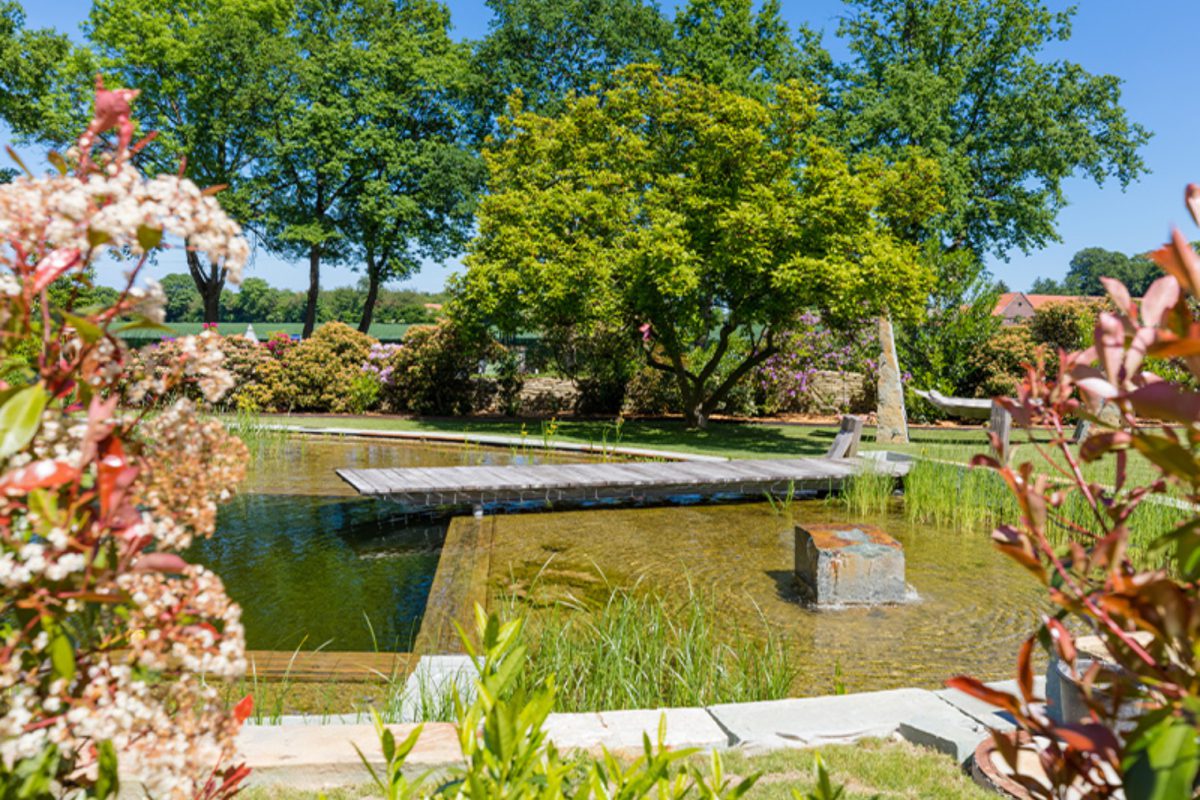 Symbolbild Uferbepflanzung