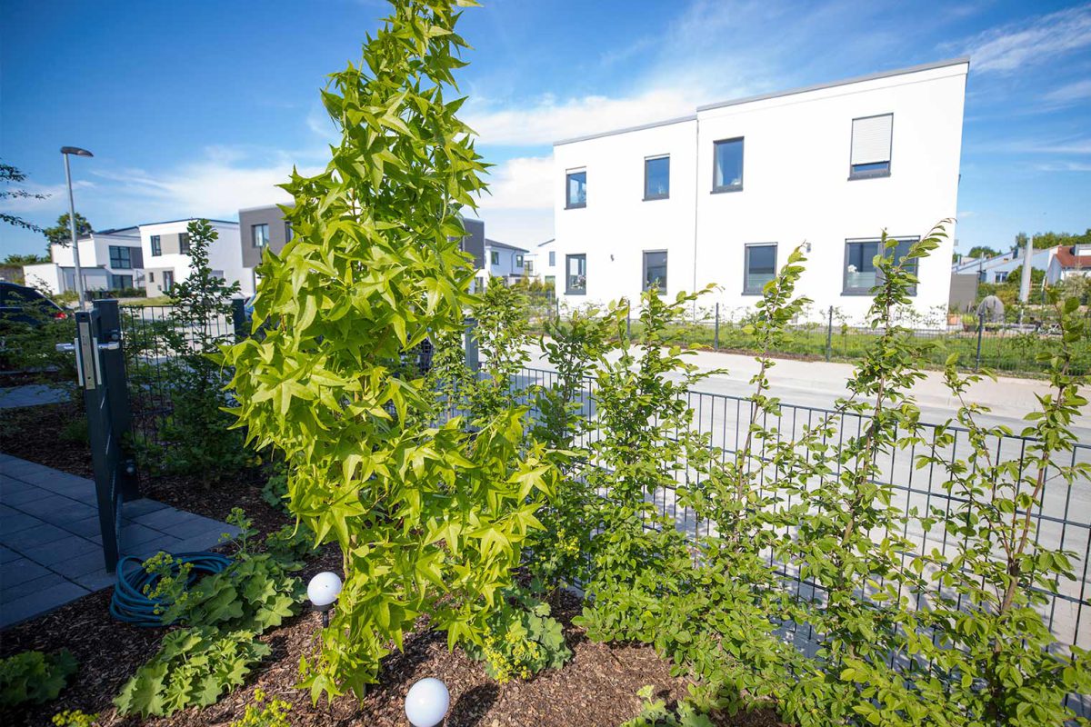 Symbolbild rechtliche Anforderungen für den Sichtschutz