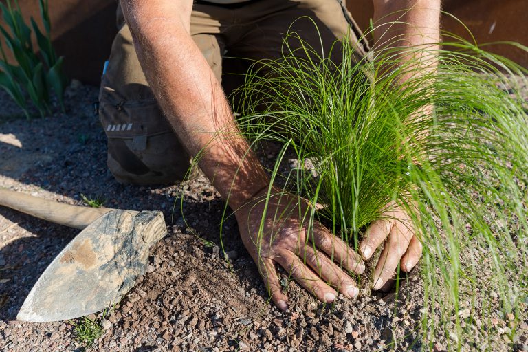 koetter_galabau_soest_blog_bodenverbesserung
