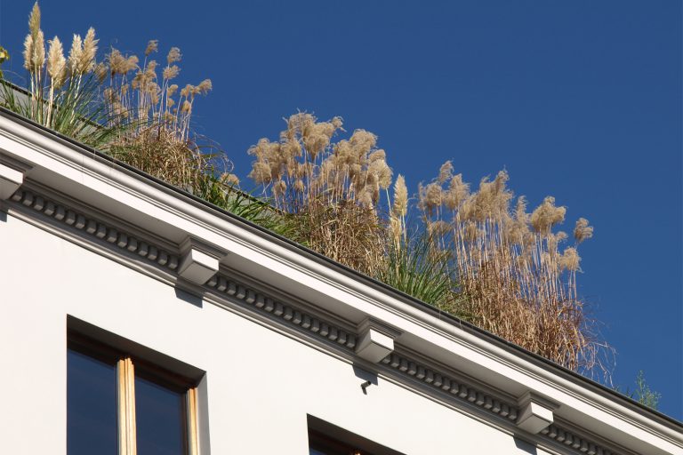 koetter_galabau_soest_blog_dachbegruenung