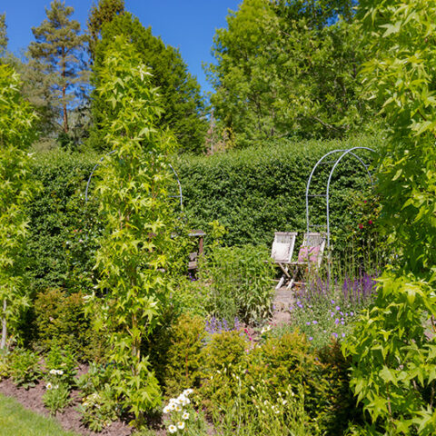 koetter_galabau_landschaftsbau_soest_referenz_artikelbild_garten_mit_terrasse_und_liegebereich_bild_01