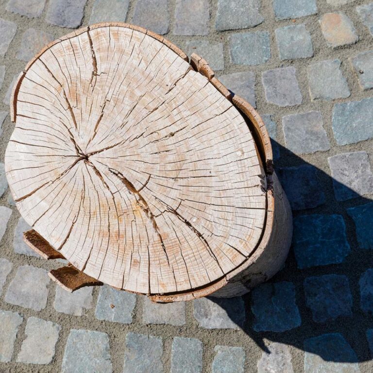 koetter_galabau_landschaftsbau_soest_referenz_galeriebild_garten_mit_teich_und_feuerstelle_bild_01-1440×960