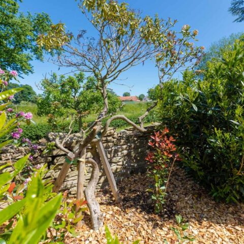 koetter_galabau_landschaftsbau_soest_referenz_galeriebilder_garten_mit_teich_und_holzterrasse_bild_07-1440×960
