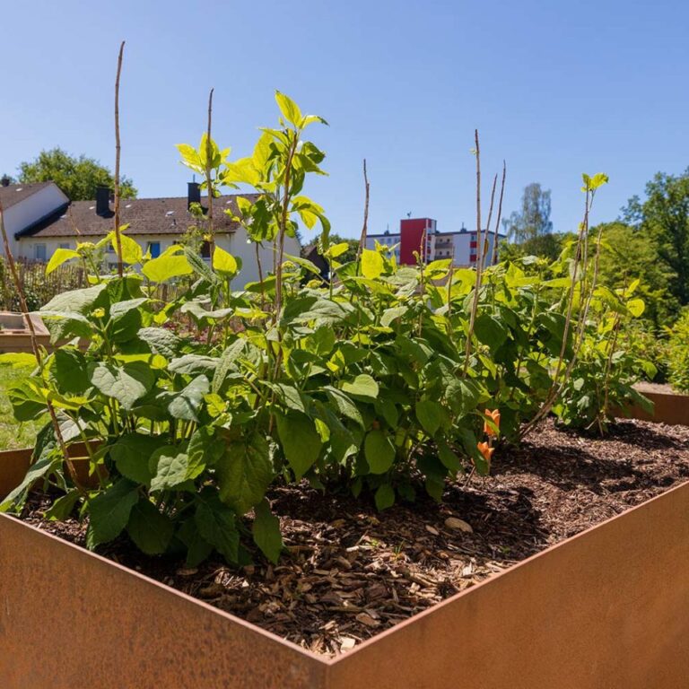 koetter_galabau_landschaftsbau_soest_referenz_galeriebilder_garten_mit_terrasse_und_holzzaun_bild_01-1440×960