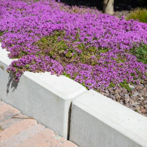 koetter_galabau_landschaftsbau_soest_referenz_galeriebilder_garten_mit_terrasse_und_holzzaun_bild_05-1440×960