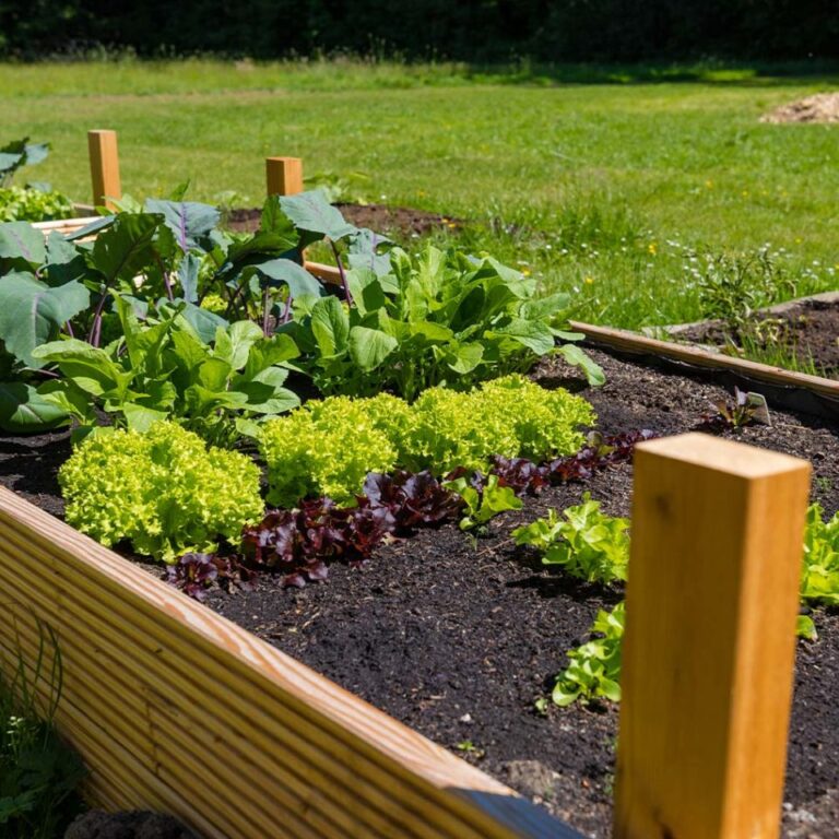 koetter_galabau_landschaftsbau_soest_referenz_galeriebilder_garten_mit_terrasse_und_liegebereich_bild_07-1440×960
