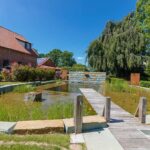 Teichpflege für kristallklares Wasser – So bleibt der Teich sauber