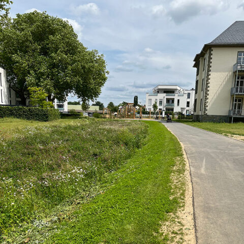 koetter_galabau_landschaftsbau_soest_referenzen_gewerbe_oeffentlich_belgisches_viertel-01